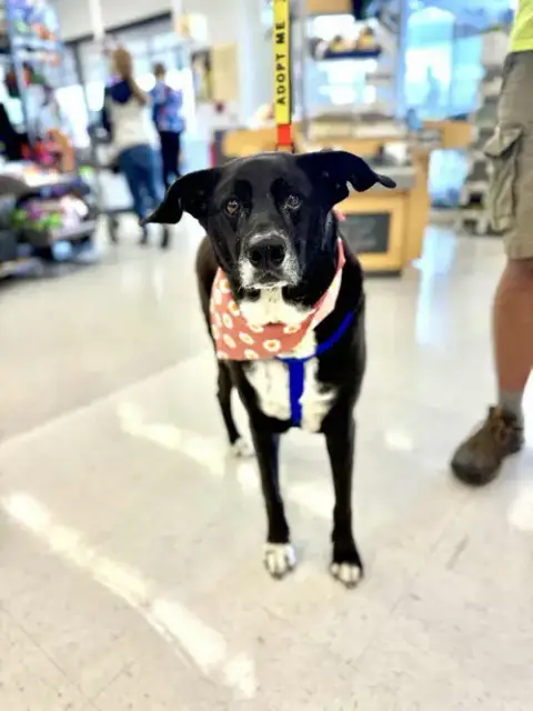 Molly photo 2