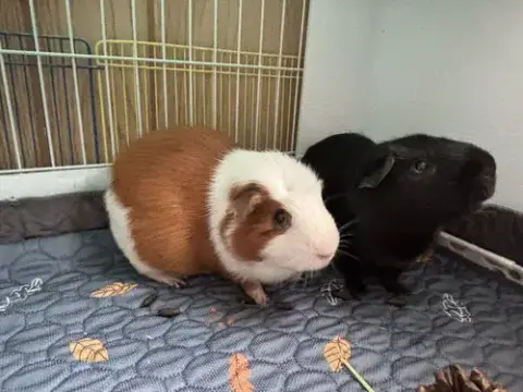 Tango And Cash photo 2