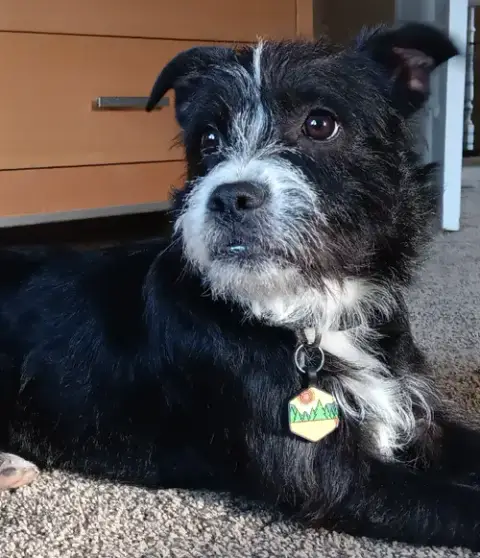 Gracie