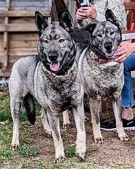 Freida And Dallen photo 4