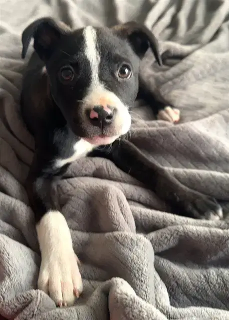 Little Miss