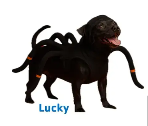 Lucky photo 5