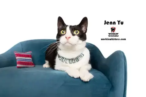 Jenn Yu