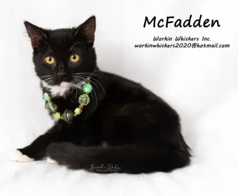 Mcfadden photo 3