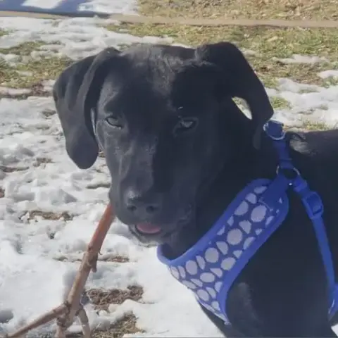 Finn photo 4