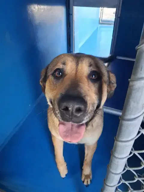 Sweet Caroline