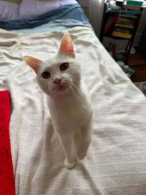 Ellie