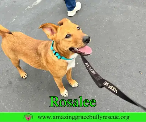 Rosalee photo 4