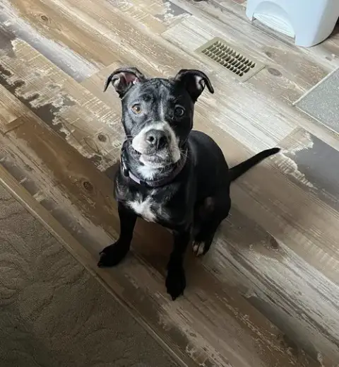 Ruby