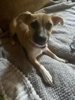Evie photo 2