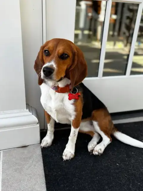 Maggie Lou