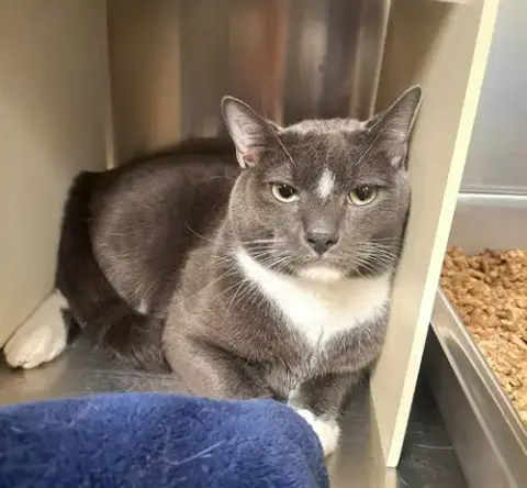 Salem