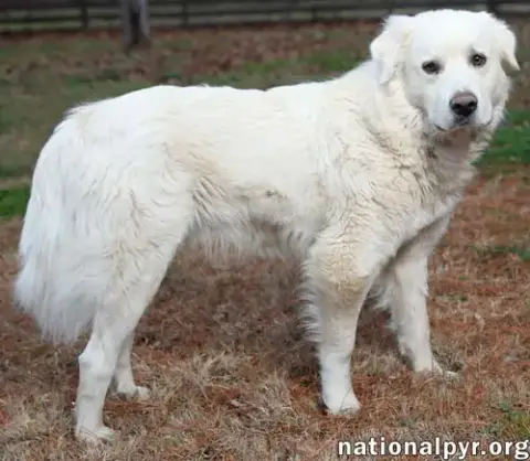 Wyatt In Tn photo 3