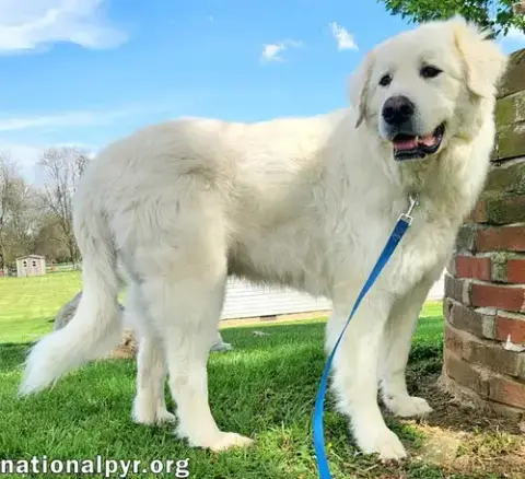 Arlo In Ky photo 2