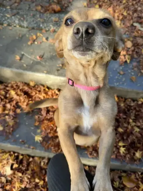 Libby photo 3