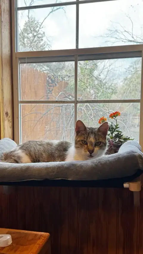 Miss Maggie photo 5