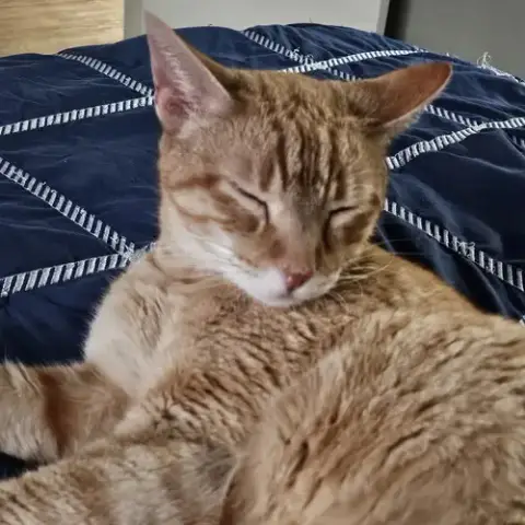 Cuddlebug photo 3