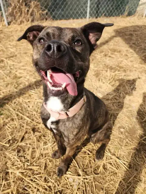Molly