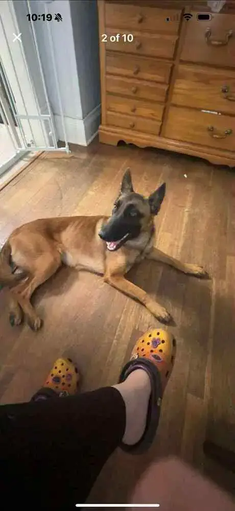 Lily Located In Kansas photo 3