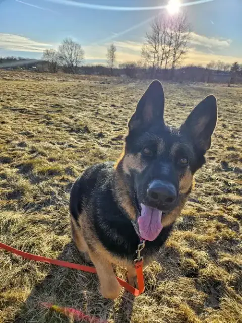 Java