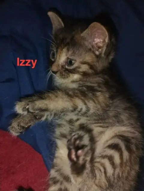 Izzy