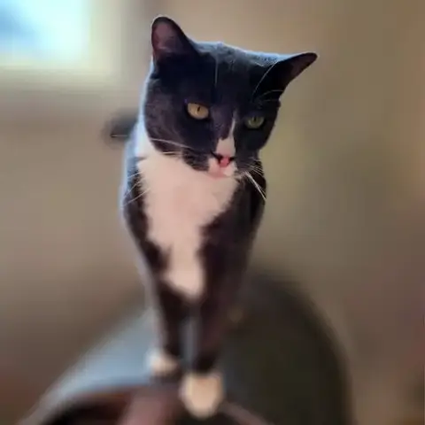 Rita