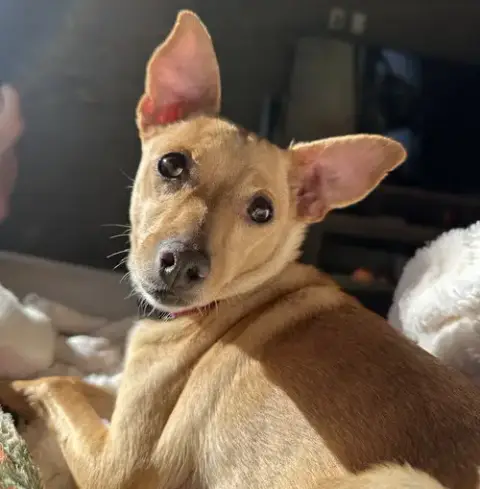 Maggie photo 2