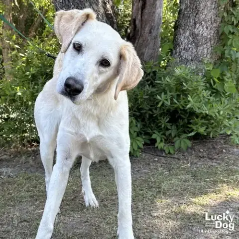 Bella photo 2