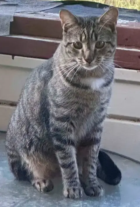 Moochie photo 2