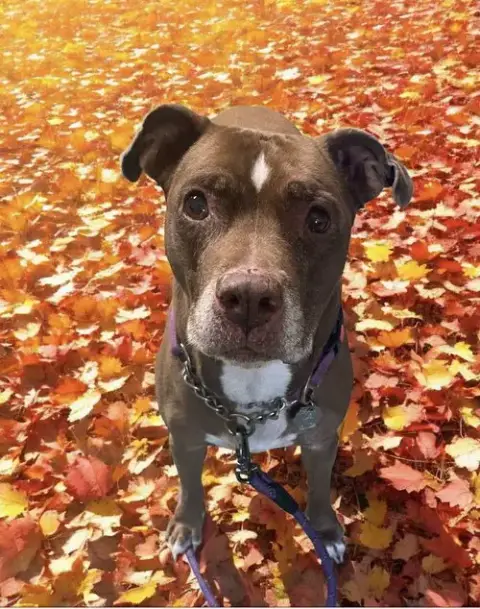 Molly