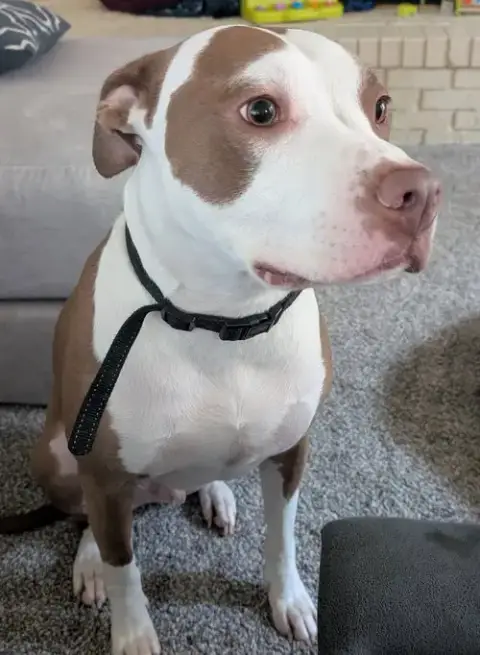 Charlie