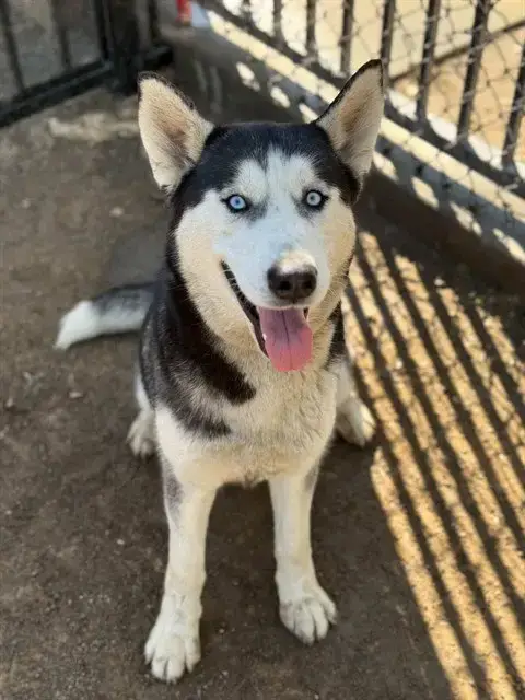 Squishy