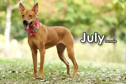 July From Taiwan photo 4