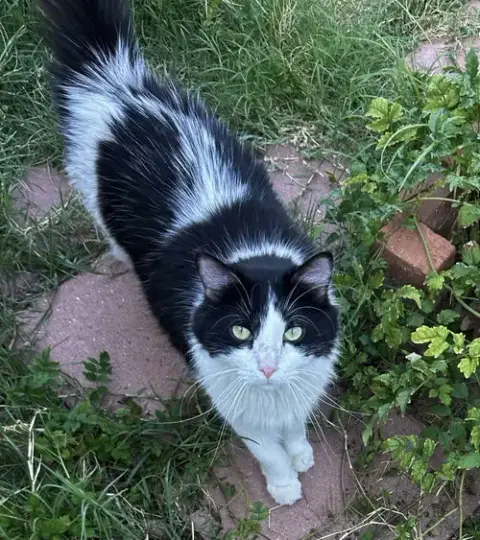 Dottie photo 2