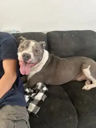Hank photo 3