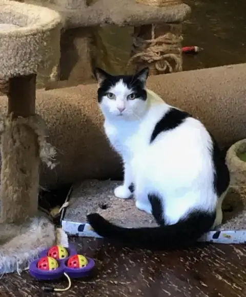 Tucker photo 2