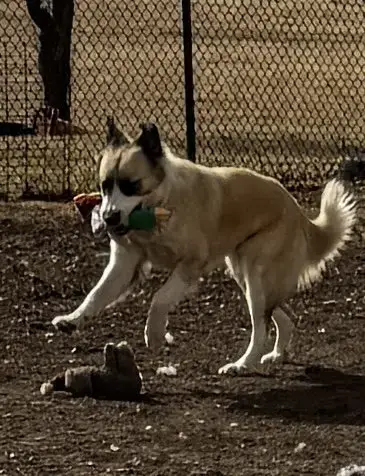 Mya photo 2