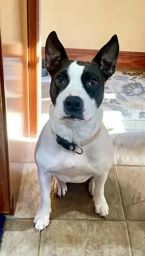 Leela