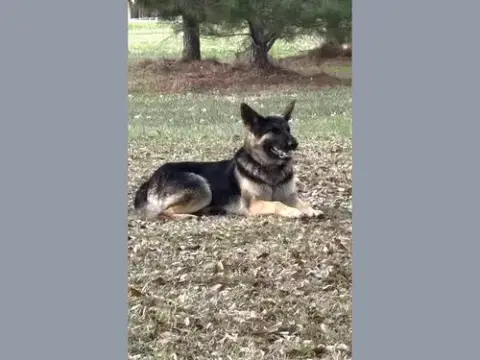 Bonnie photo 3