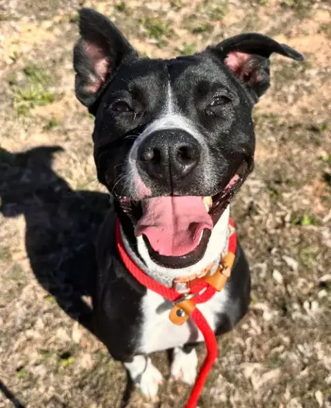 Molly