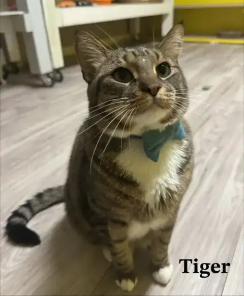 Tigger