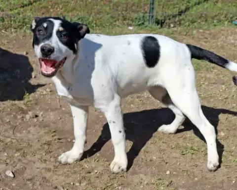 Titch photo 3