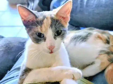 Penny photo 2