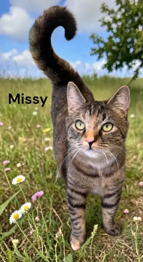 Missy