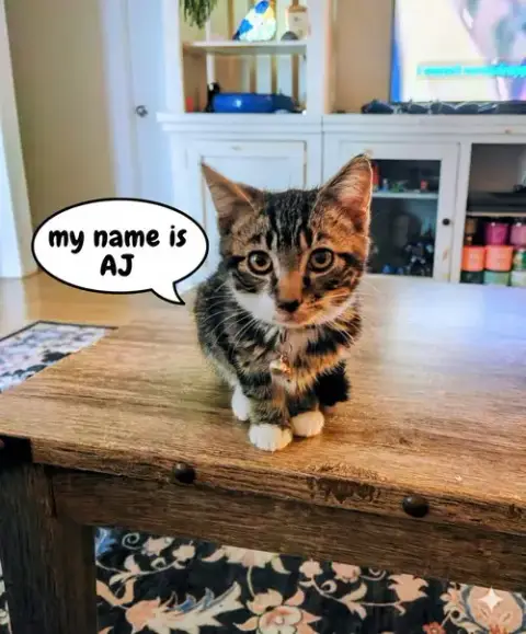 Aj