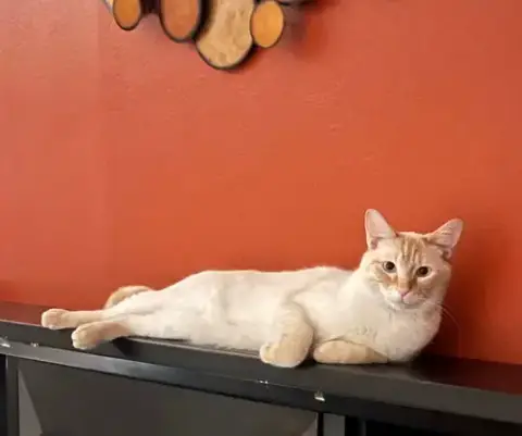 Finn photo 2