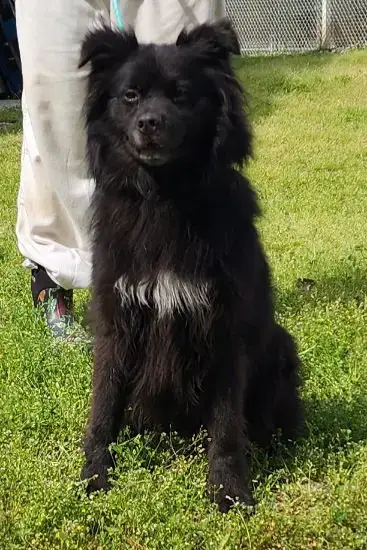 260383   Bear photo 3