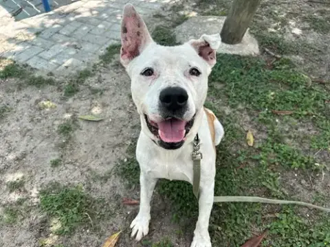 Charlie