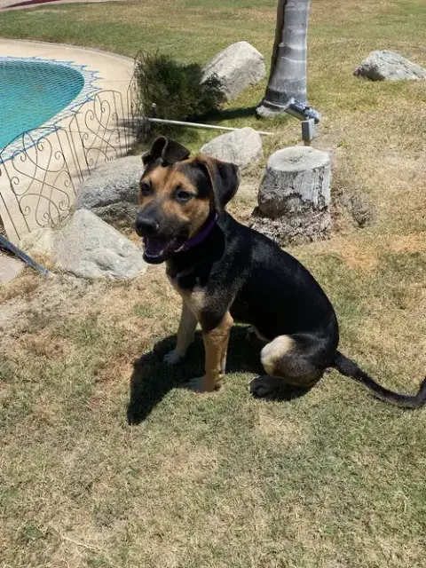 Marvin photo 3