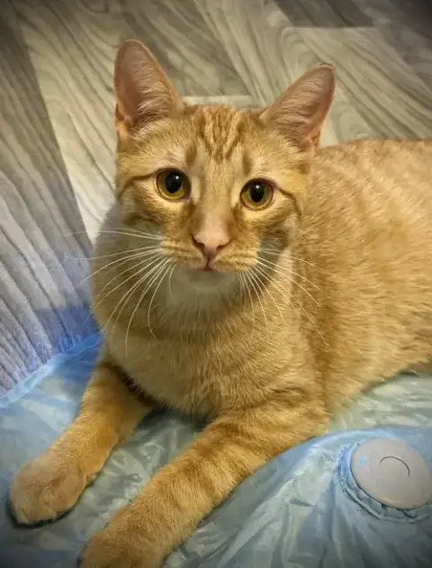 Jasper photo 2